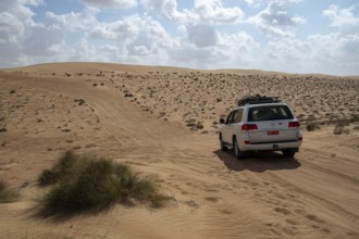 Car parked on sandy road, Wahiba Sands desert, Oman