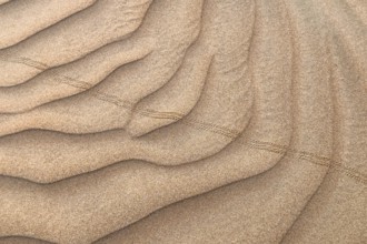 Traces in the sand, desert, Oman