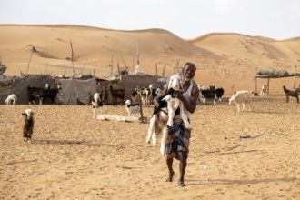 Bedouin with goat in the sand dunes in the Wahiba Sands desert, Oman