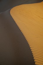 Detailed view of structures, sand dunes in the Wahiba Sands desert, Oman