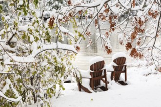 Two brown stained wooden Adirondack chairs by riverside framed by Salix - Willow and Quercus - Oak