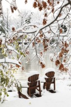 Two brown stained wooden Adirondack chairs by riverside framed by Salix - Willow and Quercus - Oak