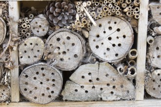 Bee or bug hotel or insect house on a brick wall in a garden, England, United Kingdom
