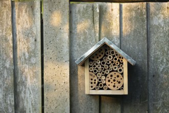 Bee or bug hotel or insect house on a wooden fence in a garden, England, United Kingdom