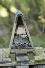 Bee or bug hotel or insect house in a garden, England, United Kingdom