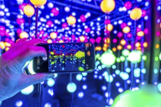 Park lights, winter event, in the Grugapark in Essen, many different light installations, across