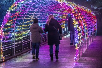 Park lights, events in winter, in the Grugapark in Essen, many different light installations,