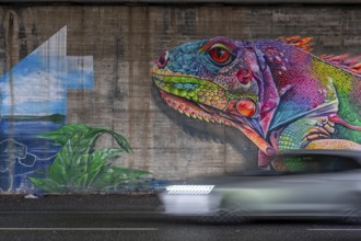 Colourful graffiti, mural, iguana or lizard in rainbow colors, in a motorway bridge underpass of