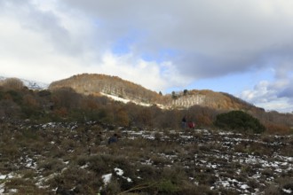 Mixed forest and heathlands at Silvestri Crater, hikers among snow remnants in volcanic landscape,