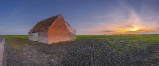 View of a field on which a rural building made of baked stone stands at sunset, Aschwarden,
