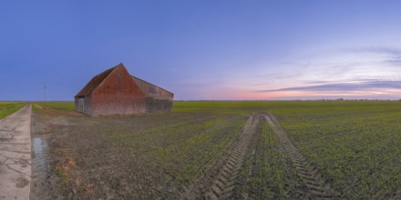 View of a field on which a rural building made of baked stone stands at sunset, Aschwarden,