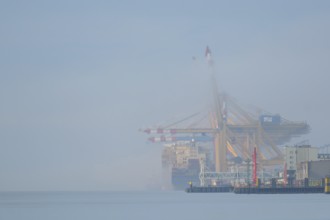View of the river quay in Bremerhaven in fog, Bremen, Germany