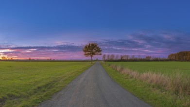 View along a bike path near the Weser at sunset, Mahlen, Hassel, Nienburg, Lower Saxony, Germany