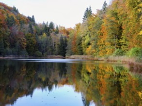 Egelsee in autumn-colored surroundings, Bergdietikon, Canton of Aargau, Switzerland