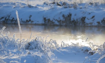 Grass covered by snow and frost, river banks in soft light, light, shimmering golden fog over the