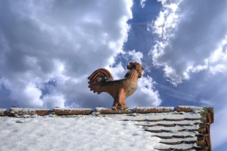 Rooster as a roof rider, cloud sky, Heroldsberg, Middle Franconia, Bavaria, Germany
