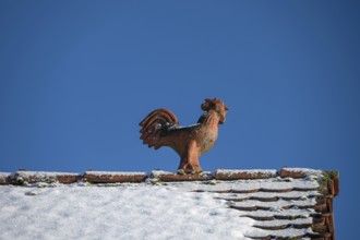 Rooster as a roof rider, blue sky, Heroldsberg, Middle Franconia, Bavaria, Germany