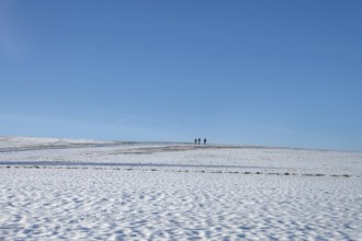 Snowy landscape with three hikers, blue sky, Beerbach, Middle Franconia, Bavaria, Germany