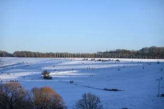 Families with children sleigh rides on a snowy slope, Tauchersreuth, Middle Franconia, Bavaria,