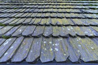 Wooden shingles of the historic wooden Trinity Church in Zhovkva city, Ukraine