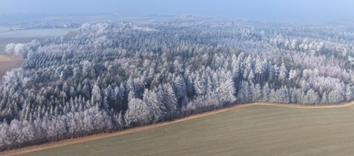 Winter forest aerial view of a mixed forest with spruces, pines, birches and beech trees covered