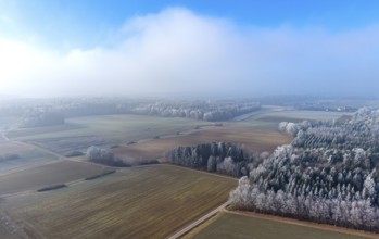 Aerial view of a winter landscape covered in clouds of fog, fields and a mixed forest with trees