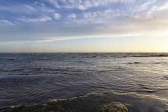 Lido Scala dei Turchi, coastline at sunset, Realmonte, Agrigento, Sicily, south coast,
