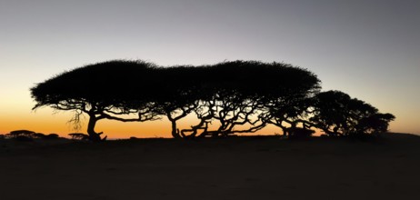 Sunset on the coast near Khahil, Oman