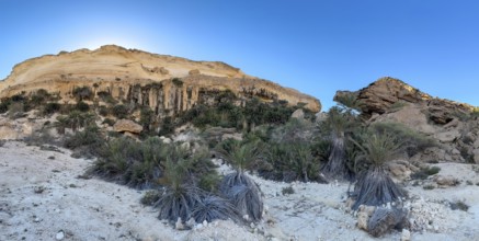 Limestone gorge of Wadi Shuwaymiyah, Dhofar, Oman