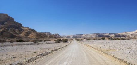 Sand track leads through the limestone gorge of Wadi Shuwaymiyah, Dhofar, Oman