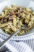 Fusilli pasta, in creamy mushroom sauce, pasta with mushrooms, homemade, no people