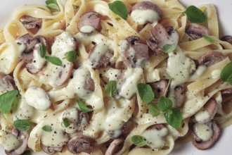 Fettuccine with champignons, basil, in cream sauce, homemade, no people