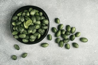 African cucumber, Mexican cucumber, mouse melon, Melothria