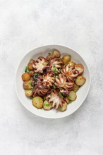 Baby grilled octopus with golden baked potatoes and fresh herbs, Maltese cuisine, homemade, no