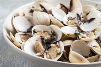Vongole clams, with spices and white wine, top view, no people
