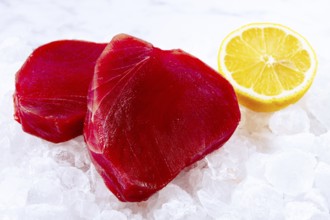 Fresh tuna and lemon, on ice ready, for preparation, at a seafood market