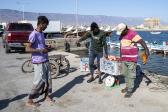 Fishing boats in Mirbat harbour, fish is sorted and weighed, Oman