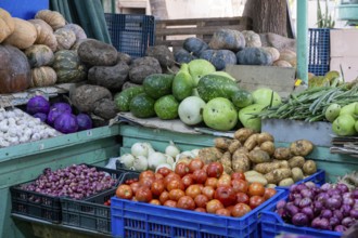 Fruit and vegetable stand, Salalah, Oman