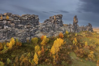 Teufelsmauer, Devil's Wall, eroded sandstone rock formation Mittelsteine near Weddersleben in the