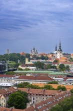 View over the Old Town, Tallinna vanalinn with St. Nicholas Church and Alexander Nevsky Cathedral