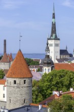 City wall towers and spire of the Baptist St. Olaf's Church, Oleviste kirik in the Old Town of the