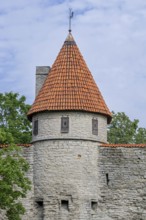 Stable Tower, Tallitorn, part of 13th century medieval defensive wall in the Old Town of the