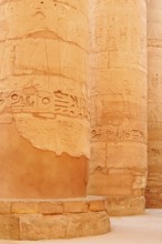 Columns with relief, Karnak Temple, Luxor, Egypt