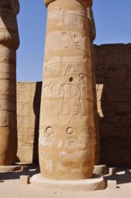 Column with relief, Luxor Temple, Luxor, Egypt