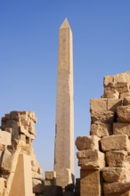 Hatshepsut Obelisk, Karnak Temple, Luxor, Egypt
