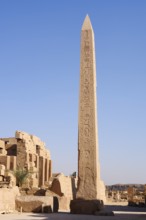 Obelisk of Thutmose I, Karnak Temple, Luxor, Egypt