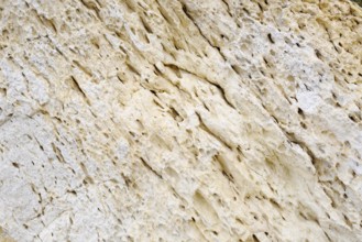 Limestone on the coast, Algarve, Portugal