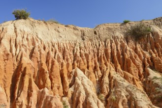 Eroded sandstone cliffs on the coast, Praia da Mesquita, Algarve, Portugal