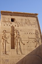 Relief of the falcon-headed god Horus and the goddess Hathor, temple of Philae, UNESCO World