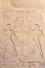 Relief of Sema-taui symbol, Luxor Temple, Luxor, Egypt